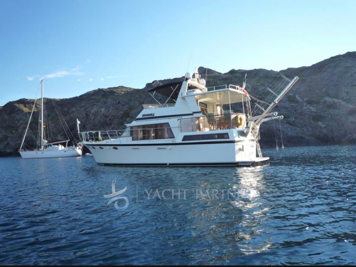 Marine Trader Usa Tradewind 43' Bahamas usato - dettaglio 1