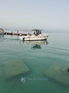 Grady White Boats 283 Grady White Release usato - dettaglio 1