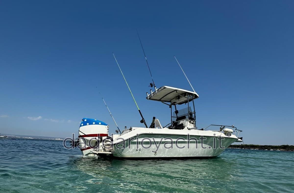 Sea Ray Laguna 17 usato - dettaglio 1