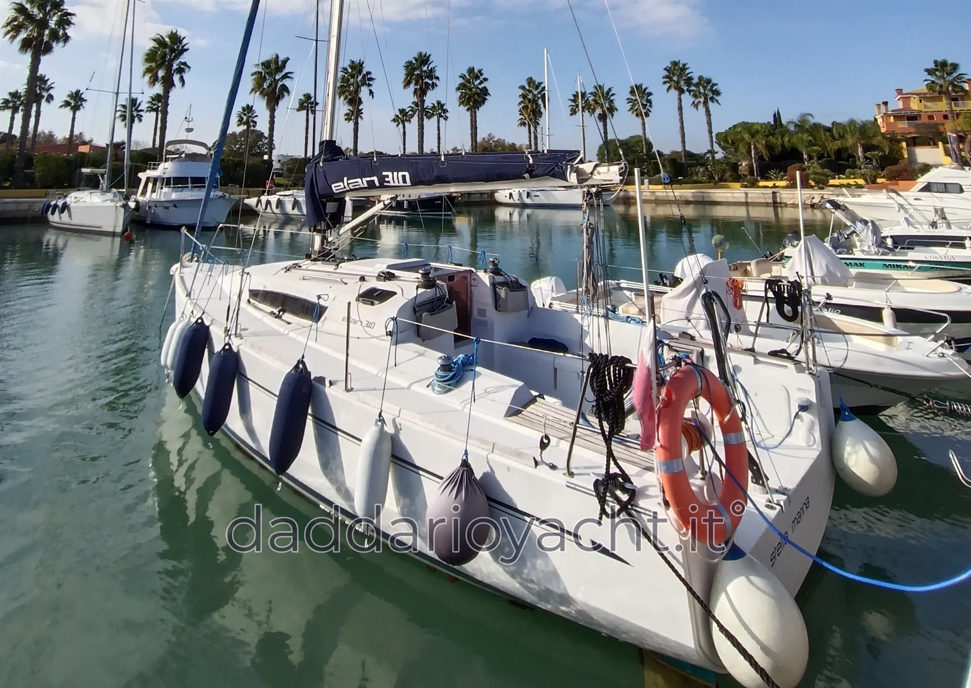 Elan Line Elan 310 - Main View Elan Line Elan 310 - Main View