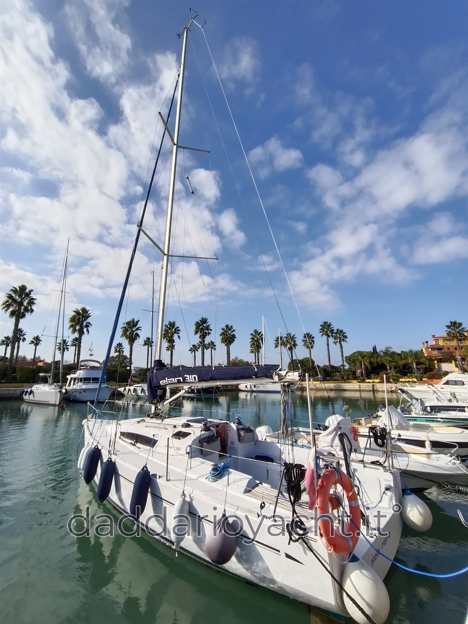 Elan Line Elan 310 - Detail View 1 Elan Line Elan 310 - Detail View 1