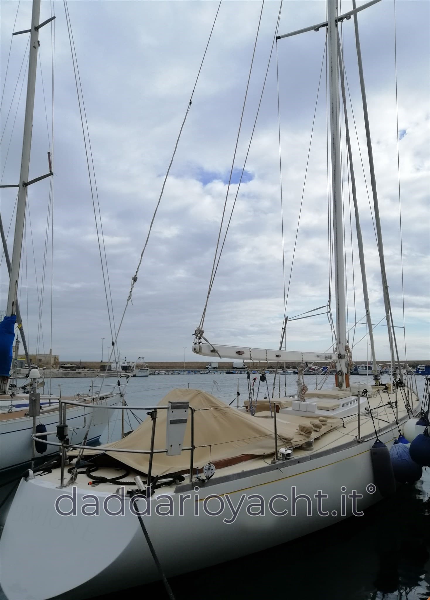 Sciarelli Cutter - Detail View 1 Sciarelli Cutter - Detail View 1