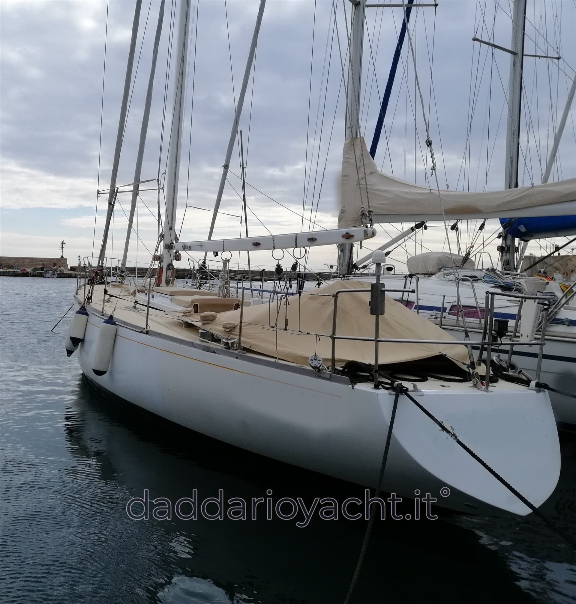 Sciarelli Cutter - Main View Sciarelli Cutter - Main View