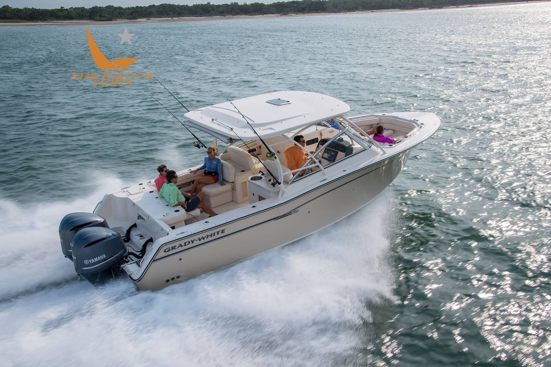 Grady White Boats 307 Freedom - Detail View 1 Grady White Boats 307 Freedom - Detail View 1