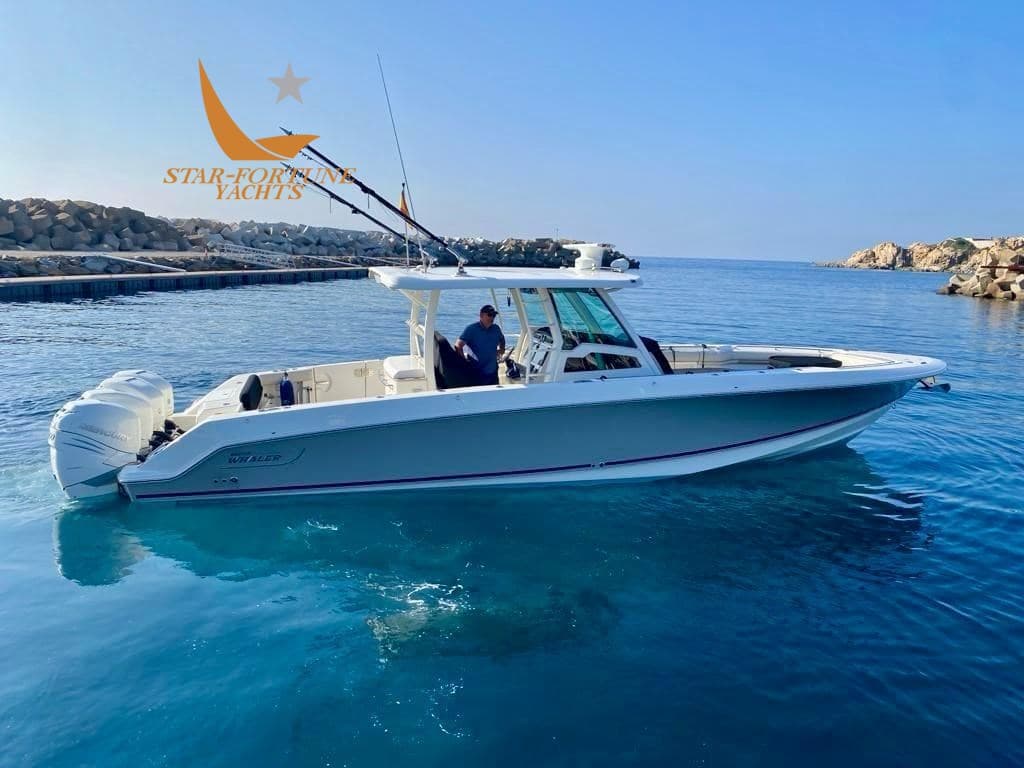 Boston Whaler OUTRAGE 380 d'occasion - vue principale