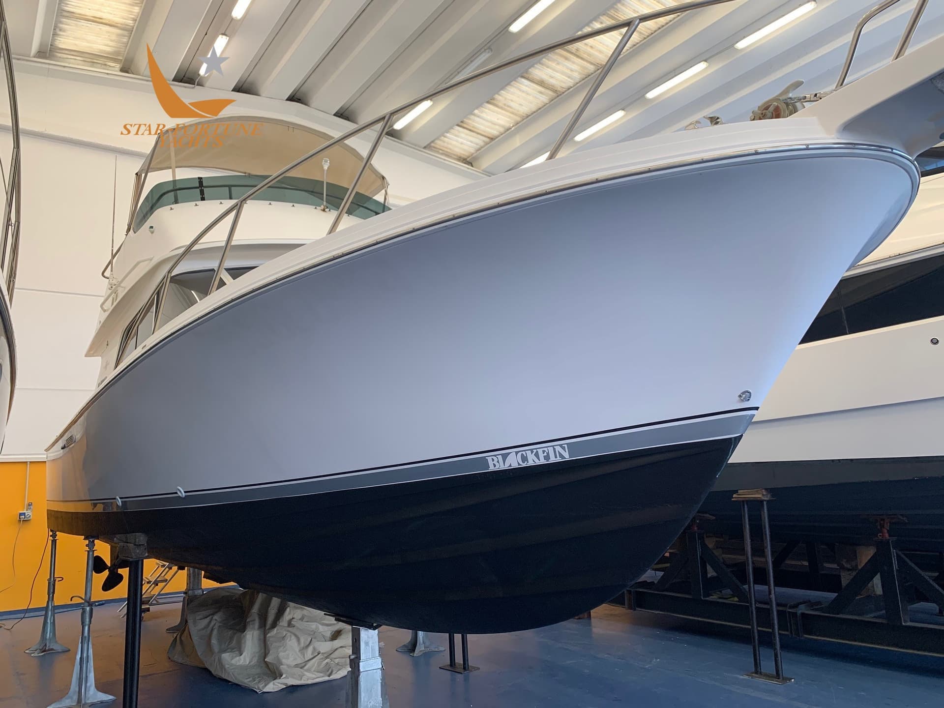 Blackfin 29 Flybridge used - detail 2