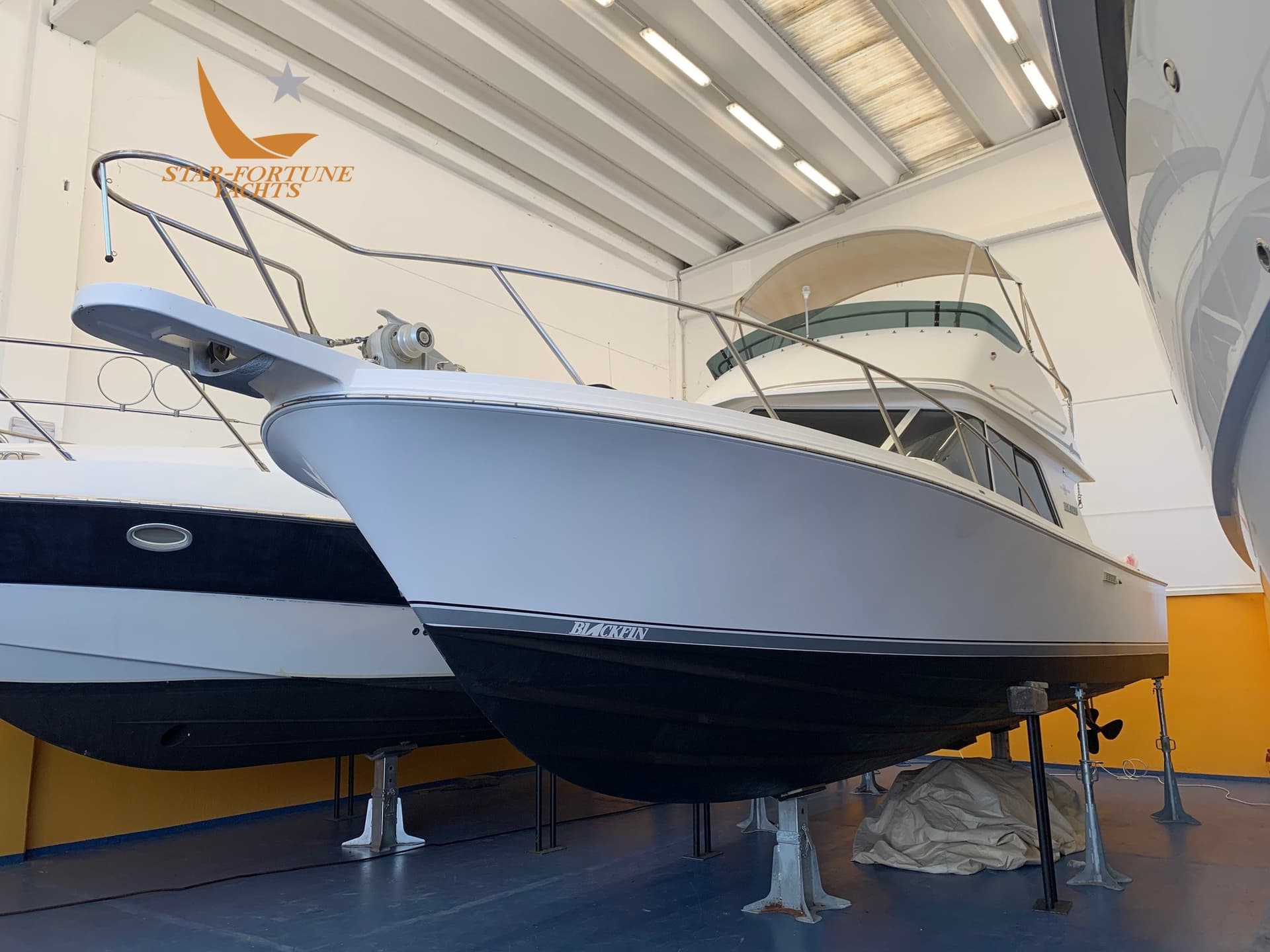 Blackfin 29 Flybridge d'occasion - détail 1