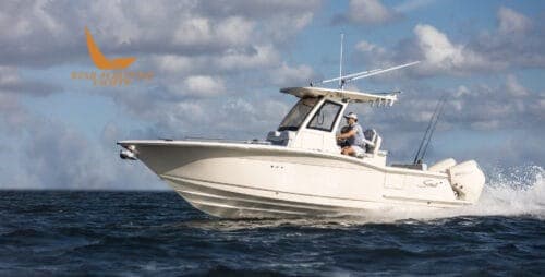 Scout Boats 260 Lxf - Detail View 1 Scout Boats 260 Lxf - Detail View 1