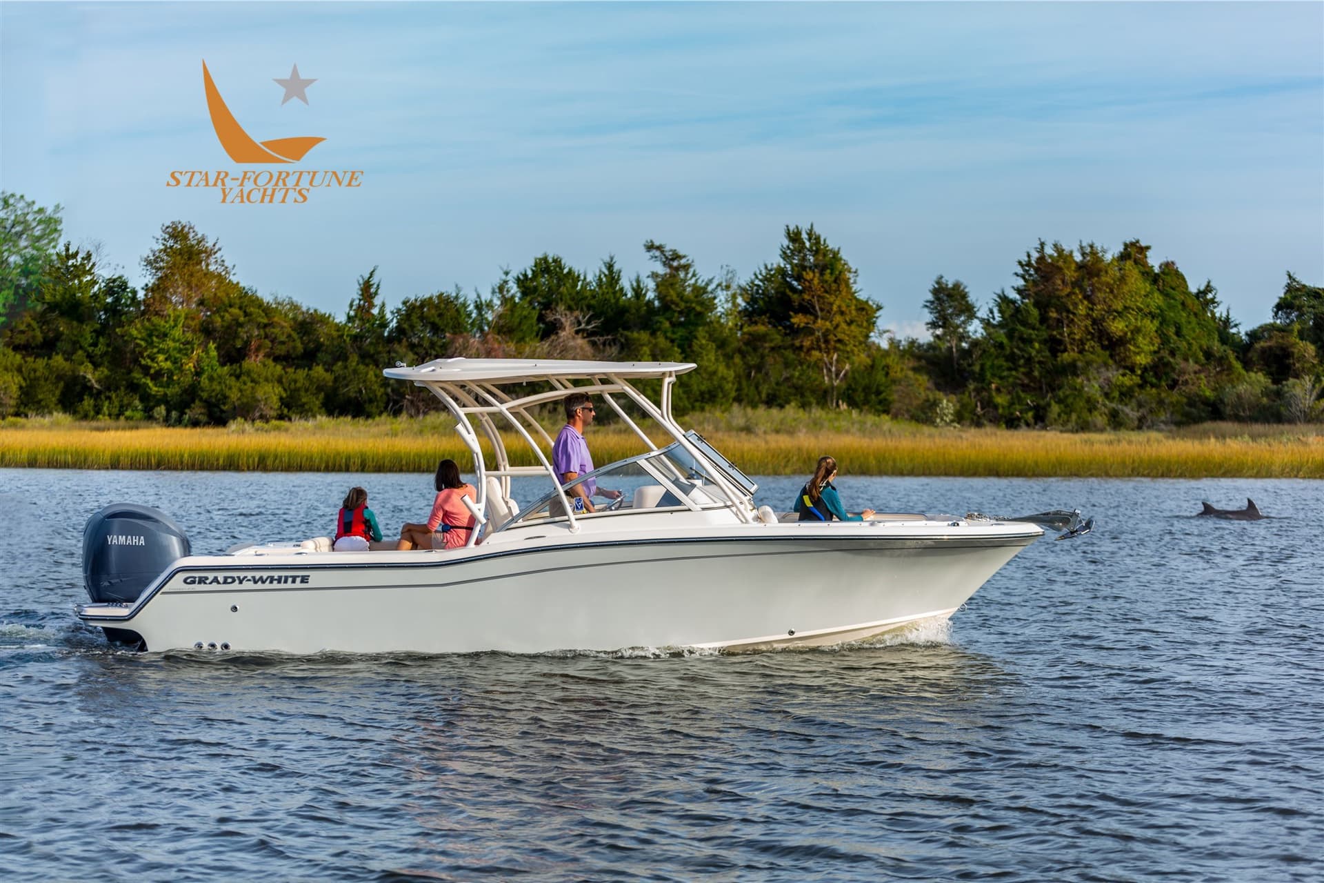 Grady White Boats 235 Freedom - Detail View 1 Grady White Boats 235 Freedom - Detail View 1