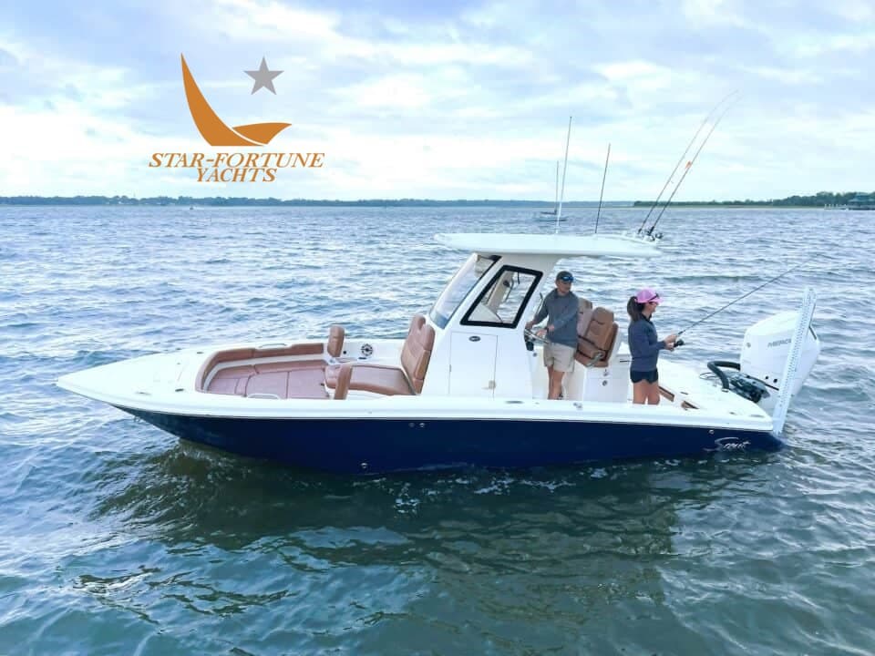 Scout Boats 261 Xss - Detail View 1 Scout Boats 261 Xss - Detail View 1