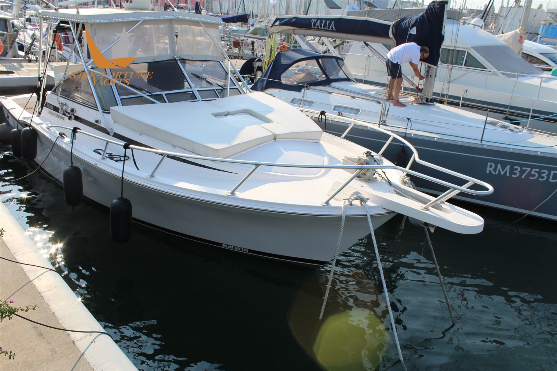 Blackfin 31 Combi - Detail View 1 Blackfin 31 Combi - Detail View 1