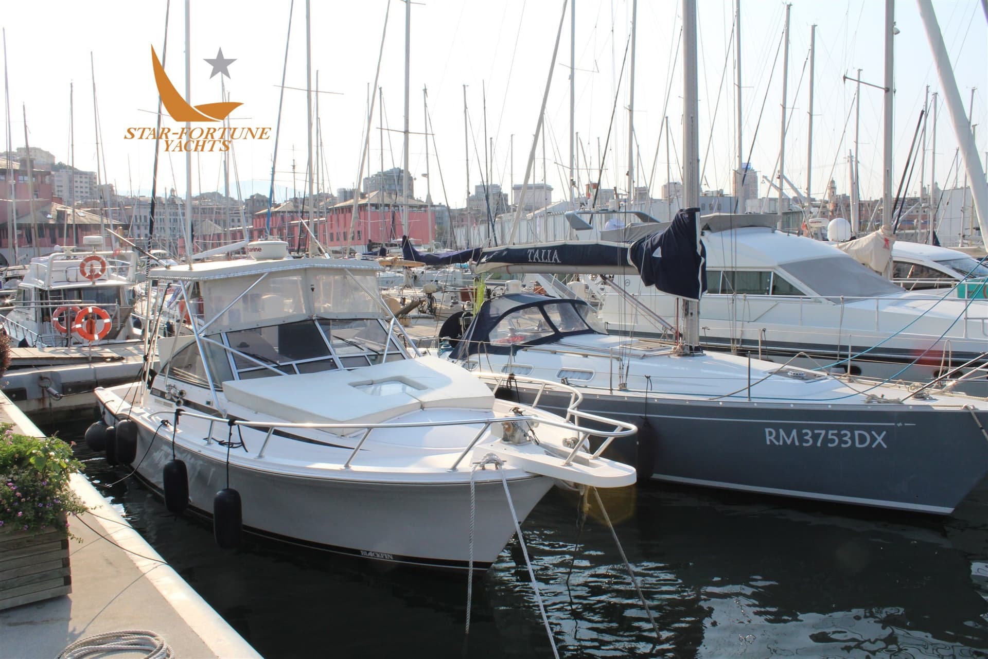 Blackfin 31 Combi - Main View Blackfin 31 Combi - Main View