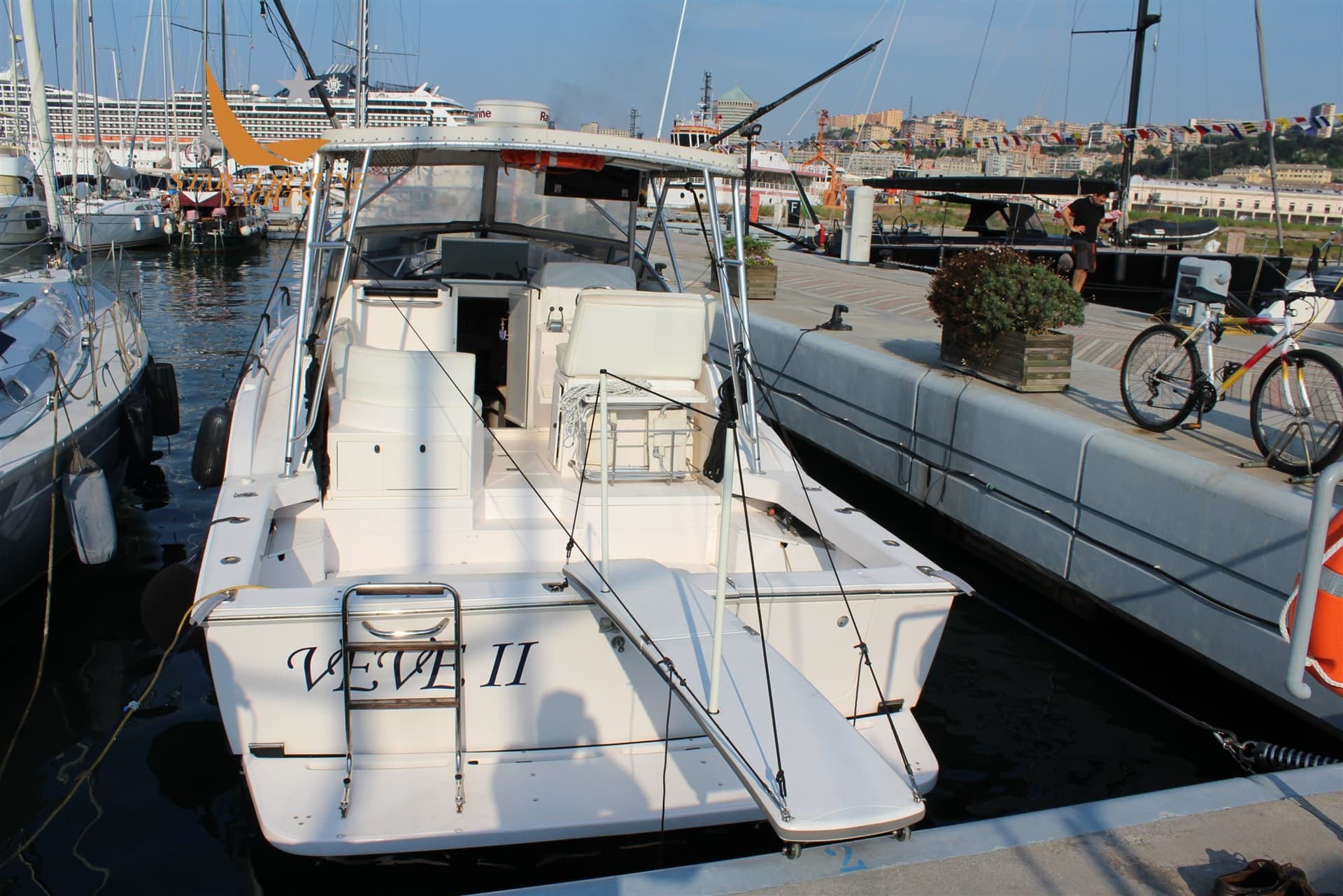 Blackfin 31 Combi - Deck View Blackfin 31 Combi - Deck View