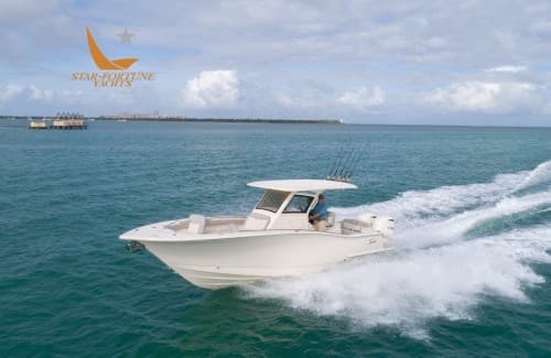 Scout Boats 305 Lxf - Detail View 1 Scout Boats 305 Lxf - Detail View 1