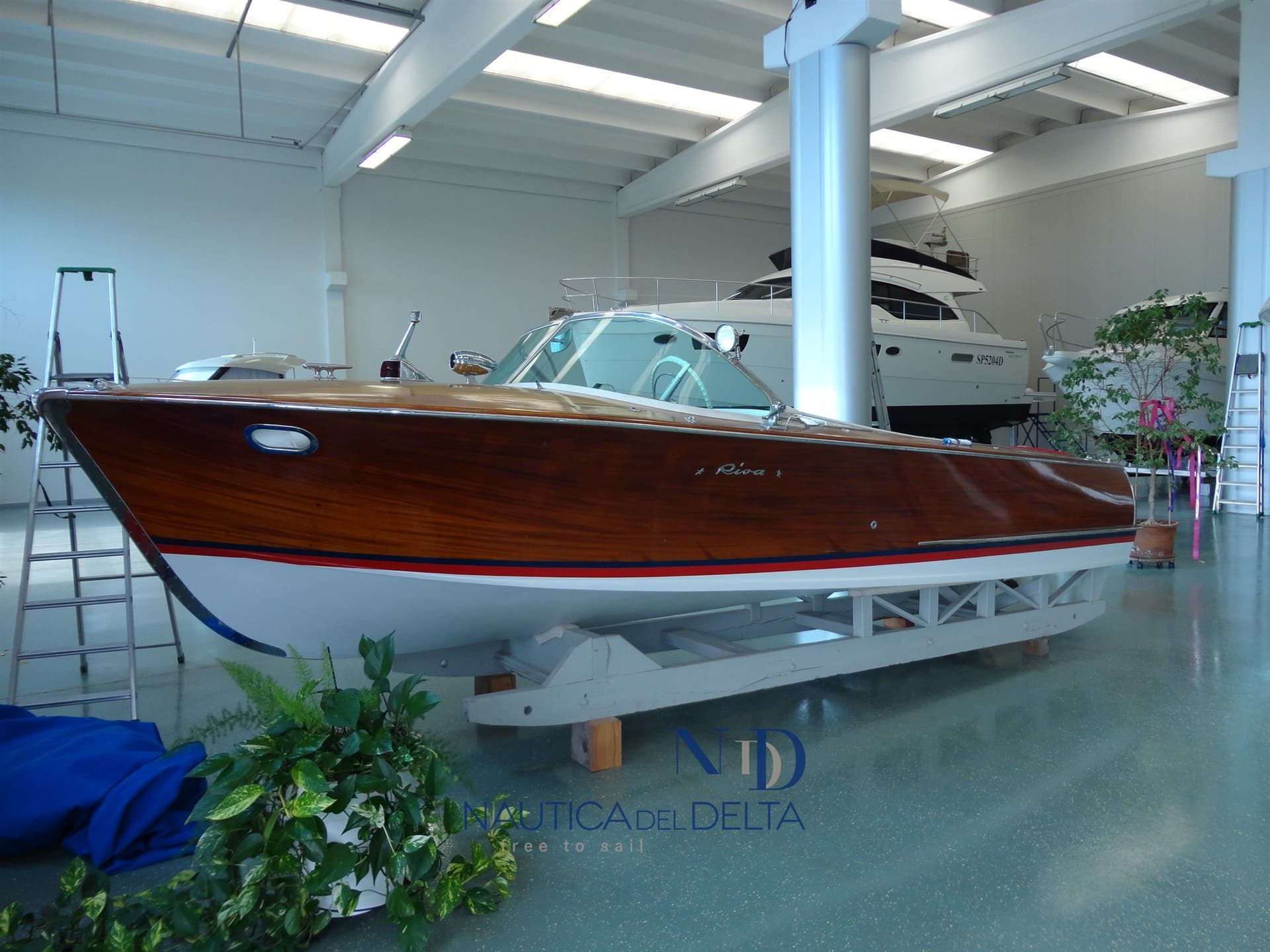 Riva SUPER FLORIDA usato - foto hero 12