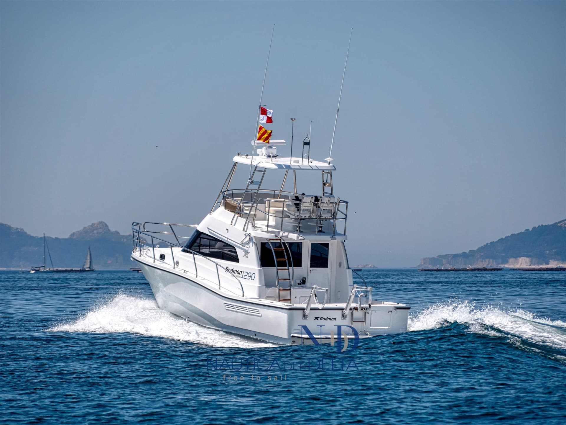 Rodman 12.90 Fisher Pro usato - dettaglio 3