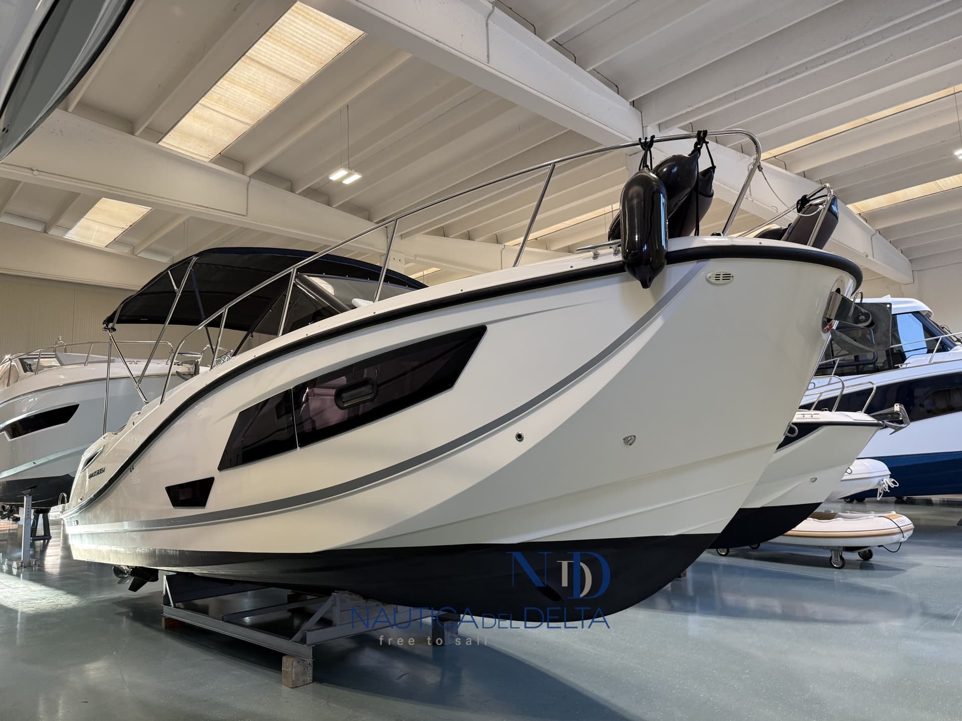 Quicksilver Activ 875 Sundeck usato - dettaglio 3