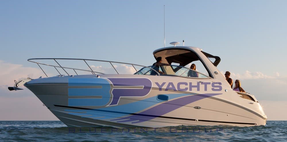 Sea Ray 310 SUNDANCER usato - vista principale