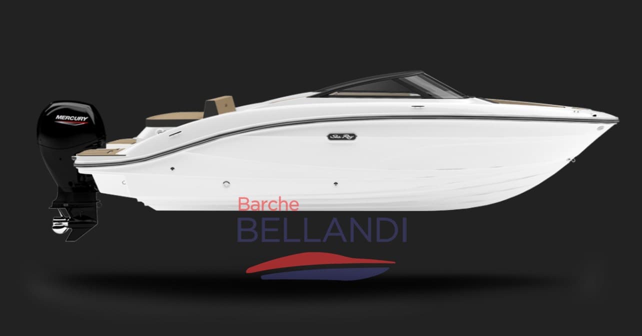 Sea Ray SPX 210 OUTBOARD usato - foto hero 7