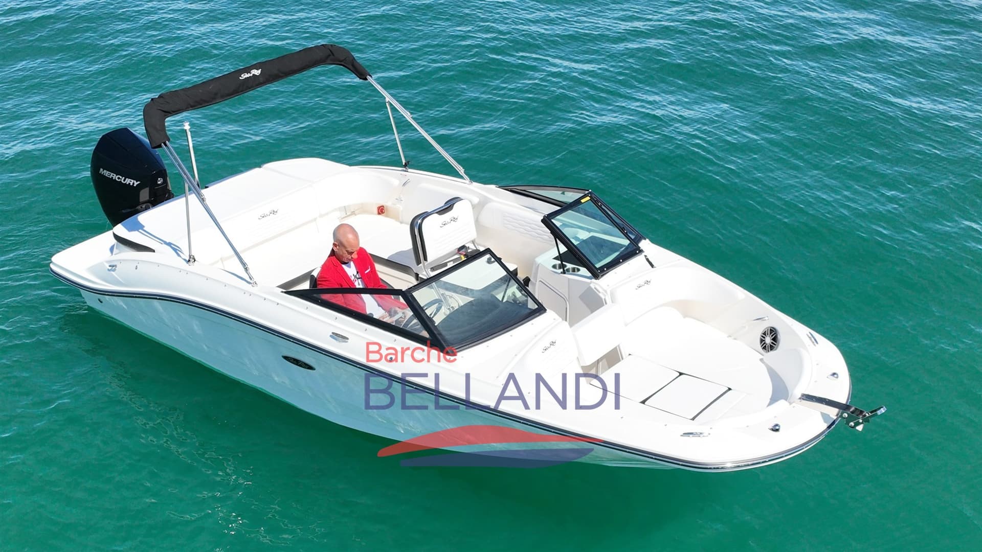 Sea Ray SPX 210 OUTBOARD usato - foto hero 11
