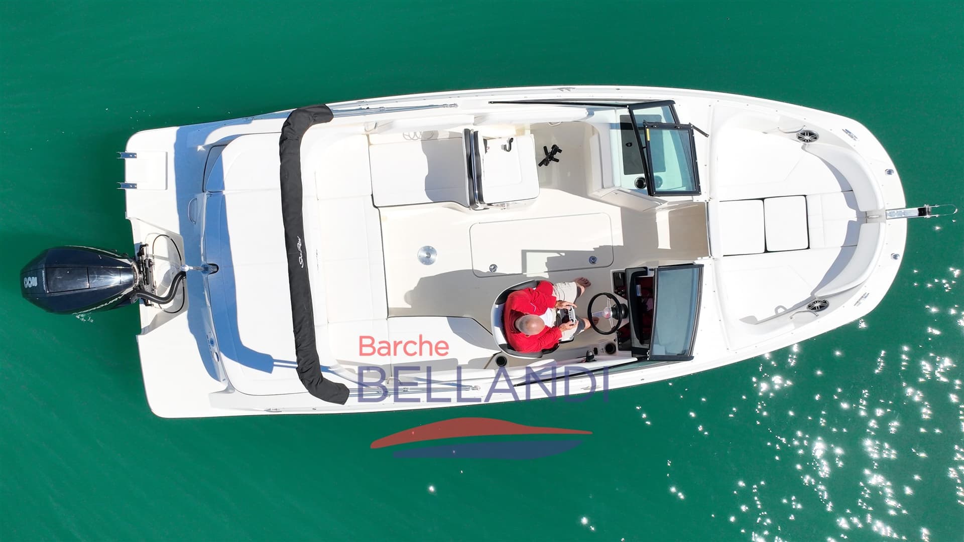 Sea Ray SPX 210 OUTBOARD usato - foto hero 10