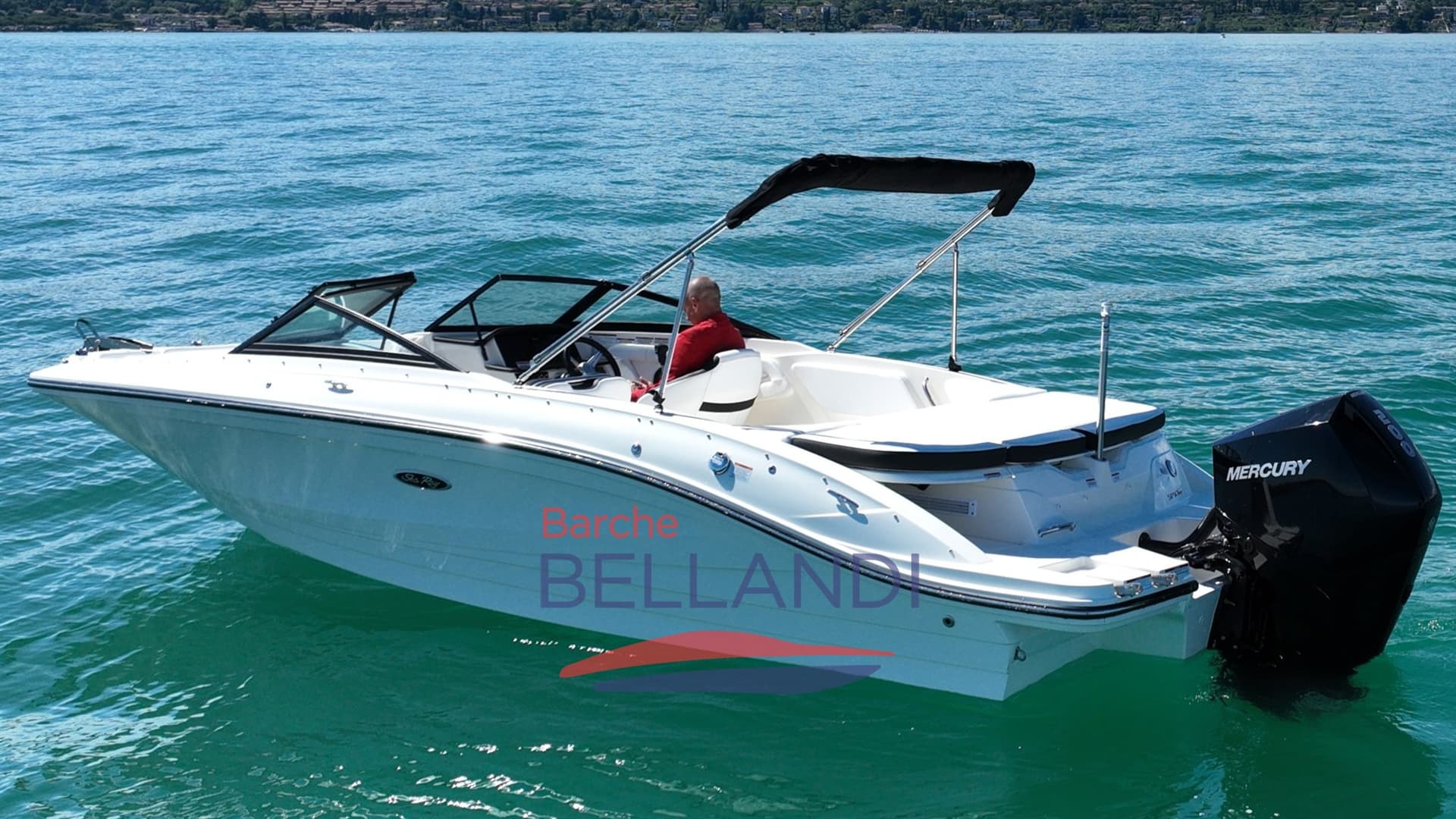 Sea Ray SPX 210 OUTBOARD usato - foto hero 14