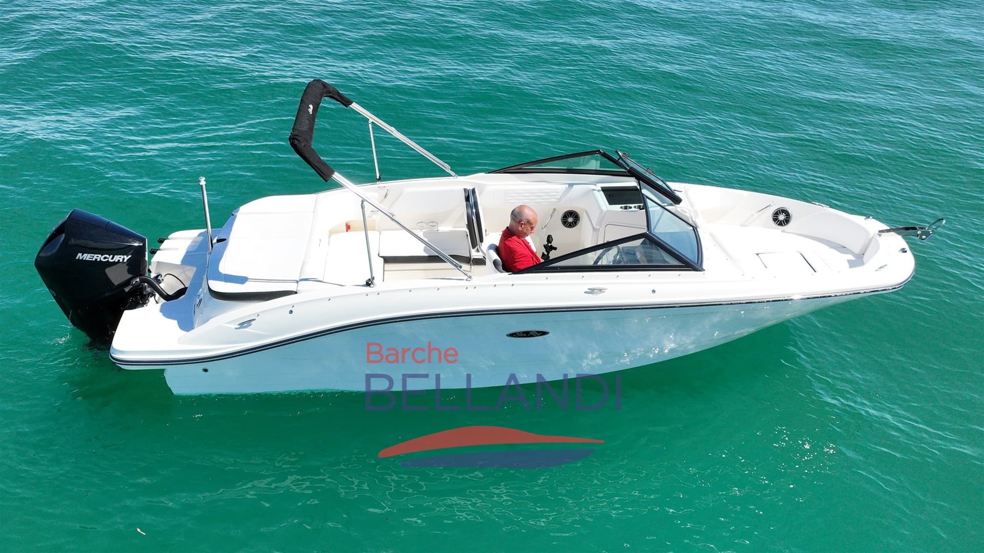 Sea Ray SPX 210 OUTBOARD usato - foto hero 2
