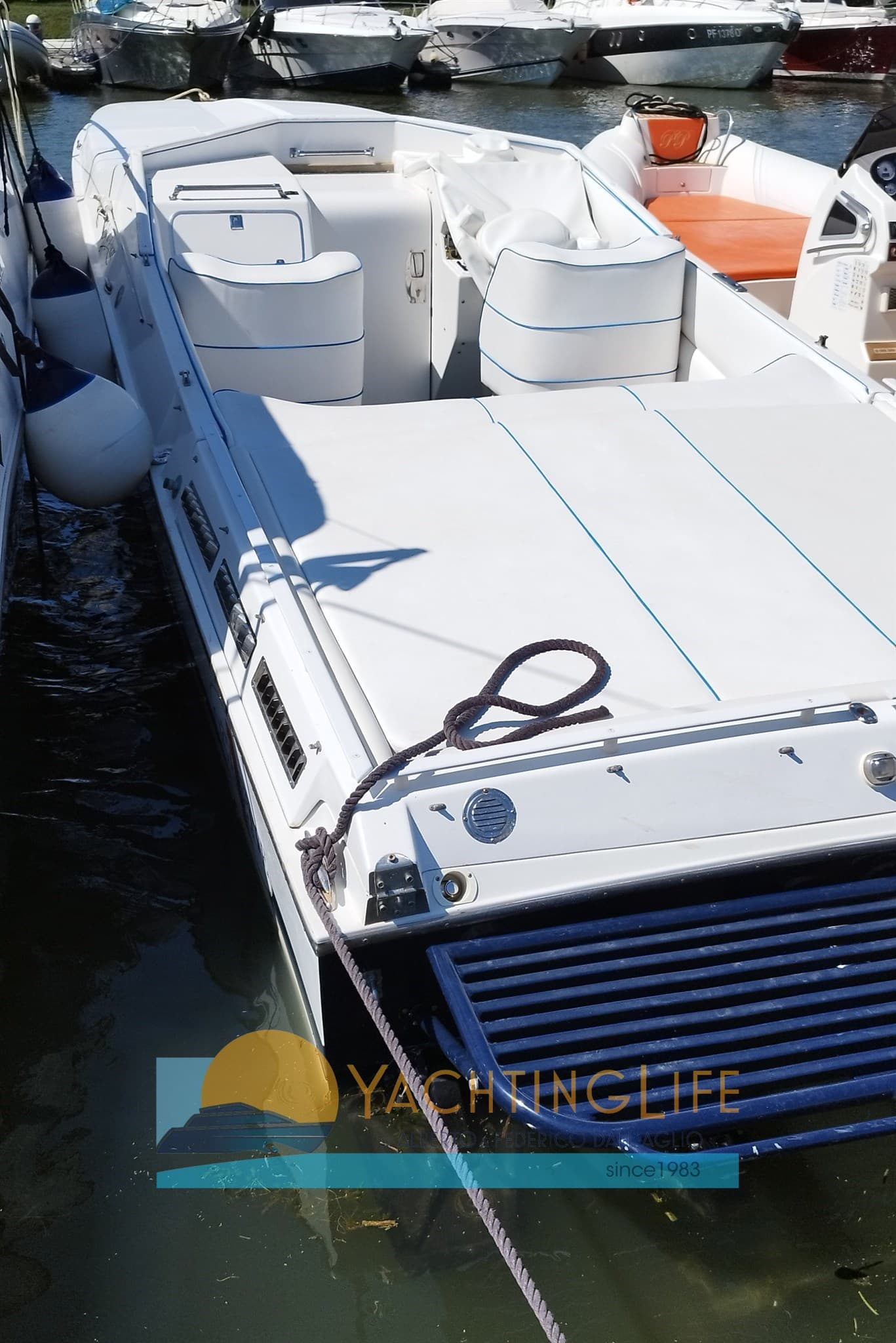 Cigarette R.T. 35 Cafe'Racer - Detail View 1 Cigarette R.T. 35 Cafe'Racer - Detail View 1