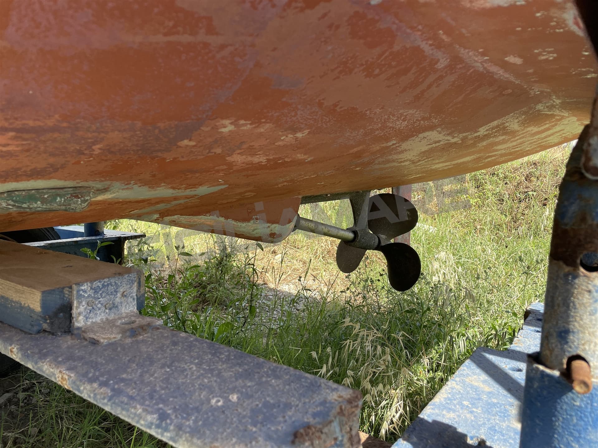 Rio Rio 700 Fish usato - dettaglio 1