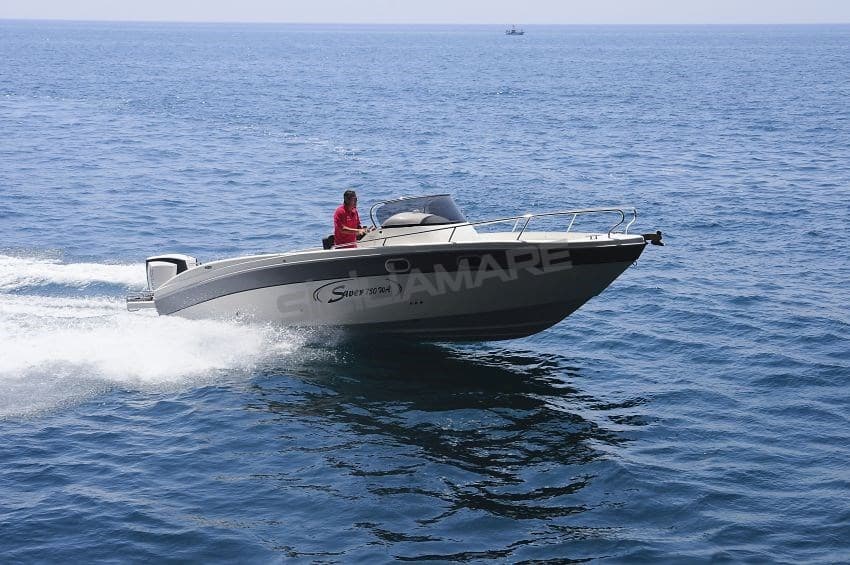 Saver 750 Walk Around usato - dettaglio 4