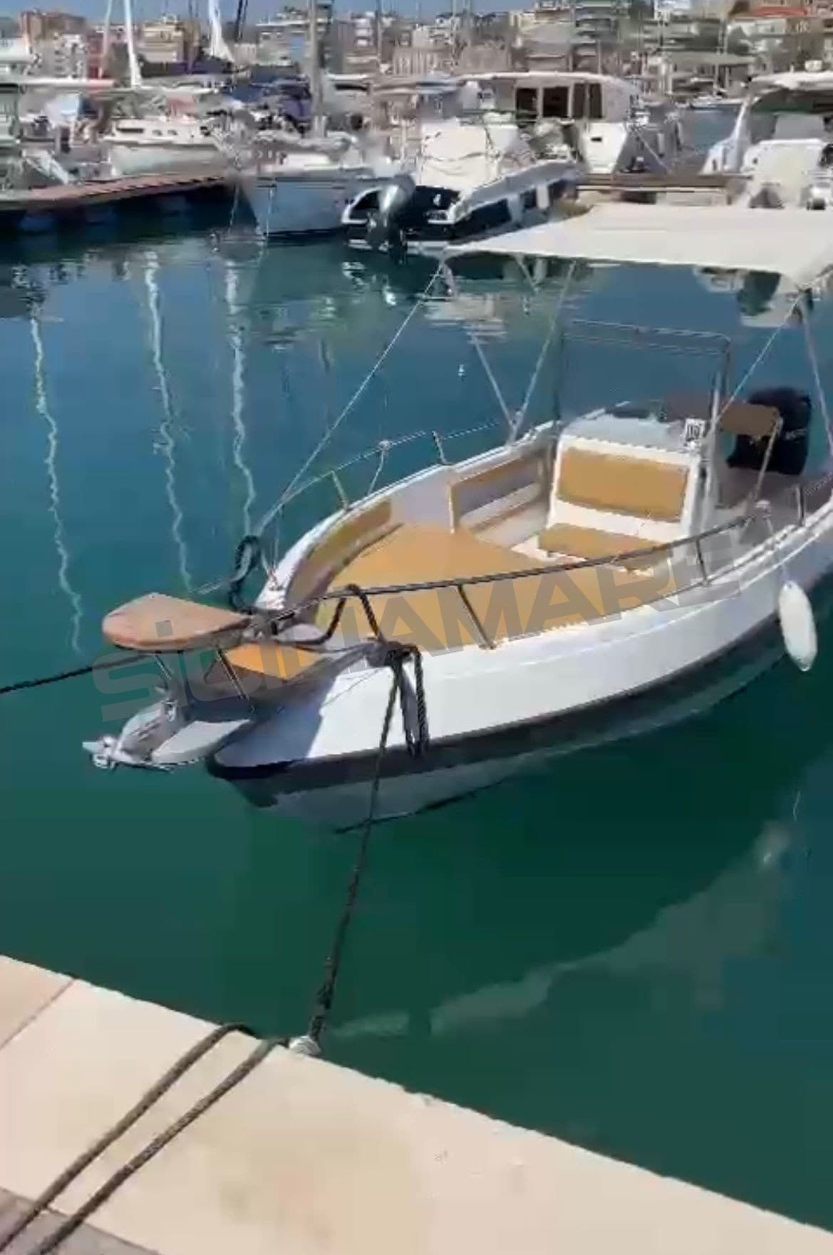 Capelli Freedom 20 - Deck View Capelli Freedom 20 - Deck View