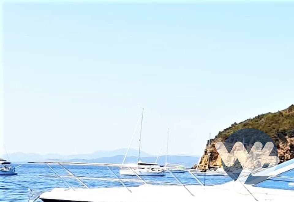 Absolute Absolute 40 - Main View Absolute Absolute 40 - Main View