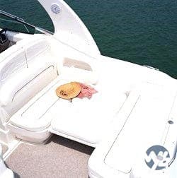 Sea Ray 335 usato - foto hero 7