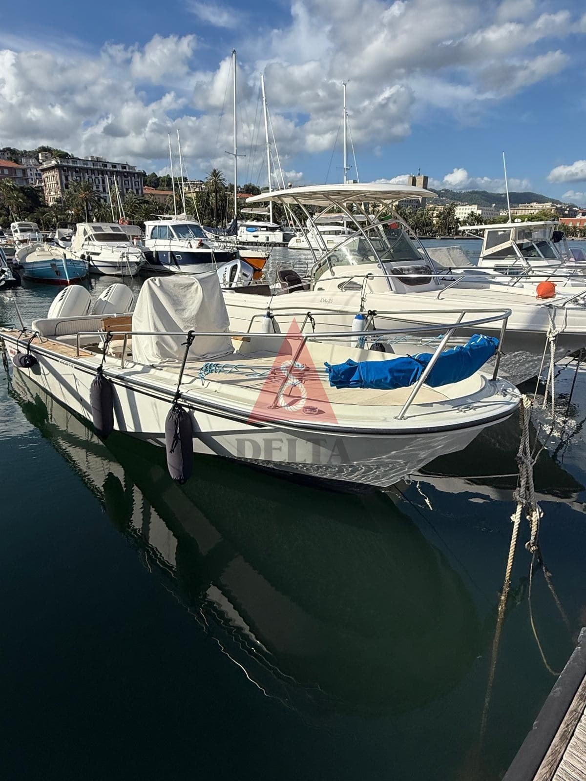 Boston Whaler Outrage 22 usato - dettaglio 2