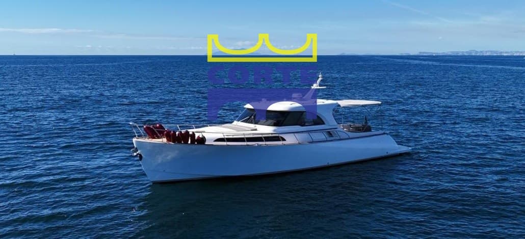 Mochi Craft Dolphin 51 - Main View Mochi Craft Dolphin 51 - Main View