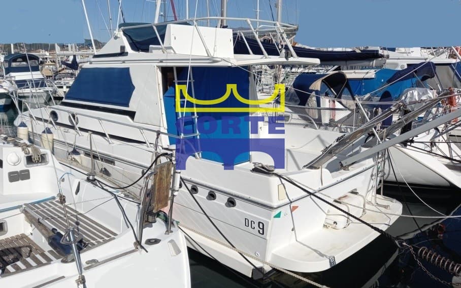 Dellapasqua Dc 9 - Main View Dellapasqua Dc 9 - Main View