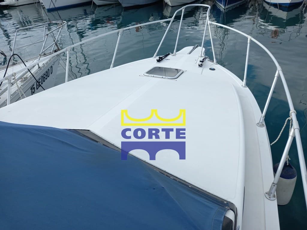 Dellapasqua Dc 9 usato - dettaglio 3