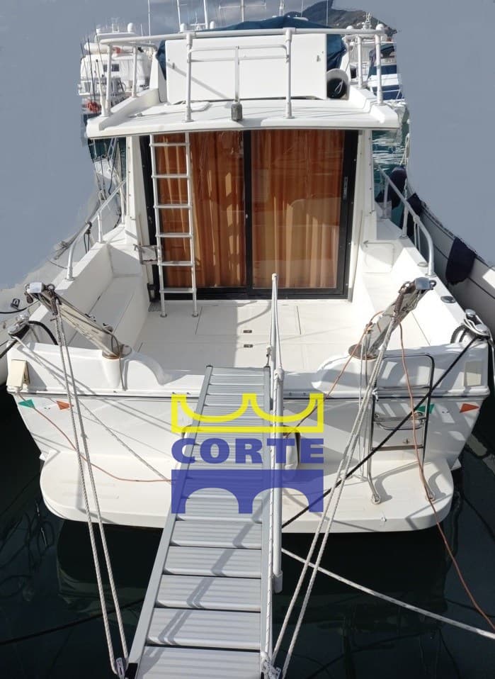 Dellapasqua Dc 9 usato - dettaglio 1