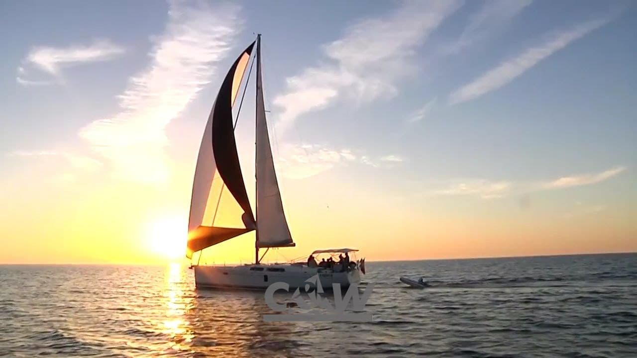 Hanse Hanse 445 - Main View Hanse Hanse 445 - Main View