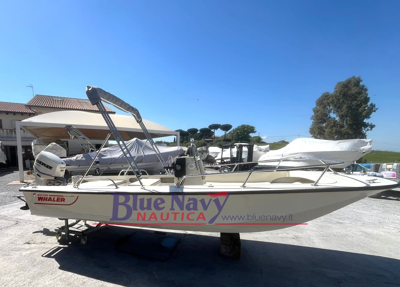 Boston Whaler 17 Montauk + Evinrude E Tec 90cv 2026 usato - dettaglio 1