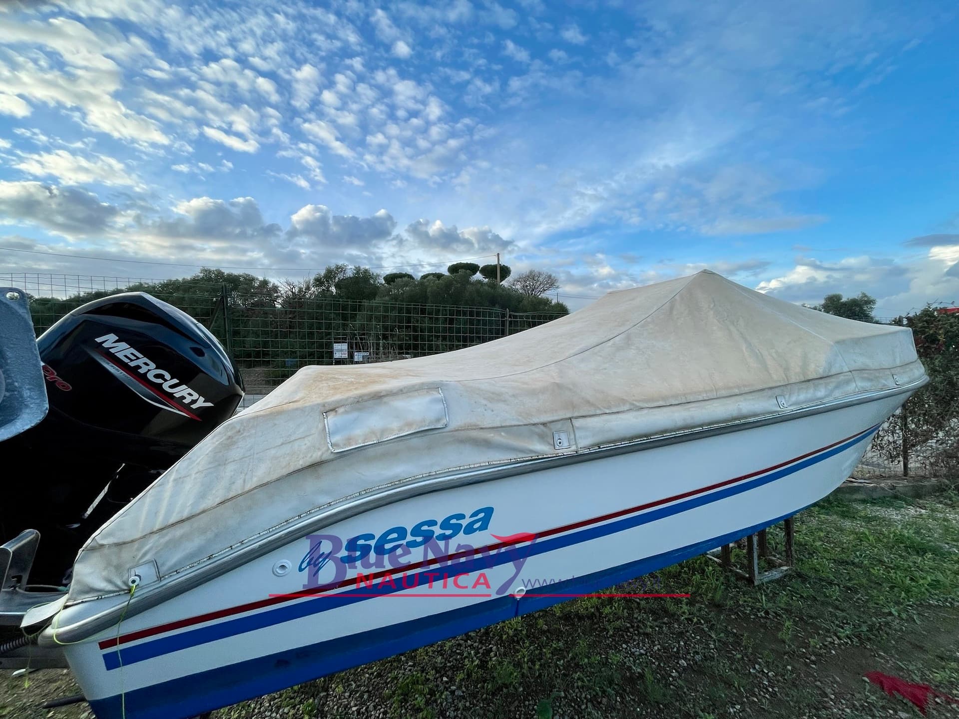 Sessa Marine Con Mercury 40cv Pro (Motore Del 2021) usato - dettaglio 3