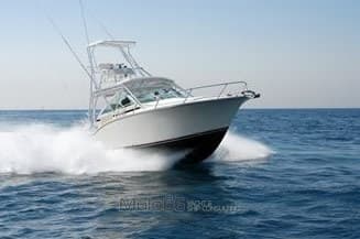 Carolina Classic Classic 32 - Main View Carolina Classic Classic 32 - Main View