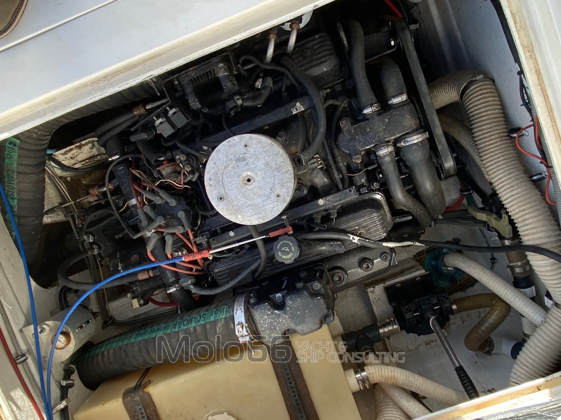 Bertram Yacht 28' Moppie usato - foto hero 7