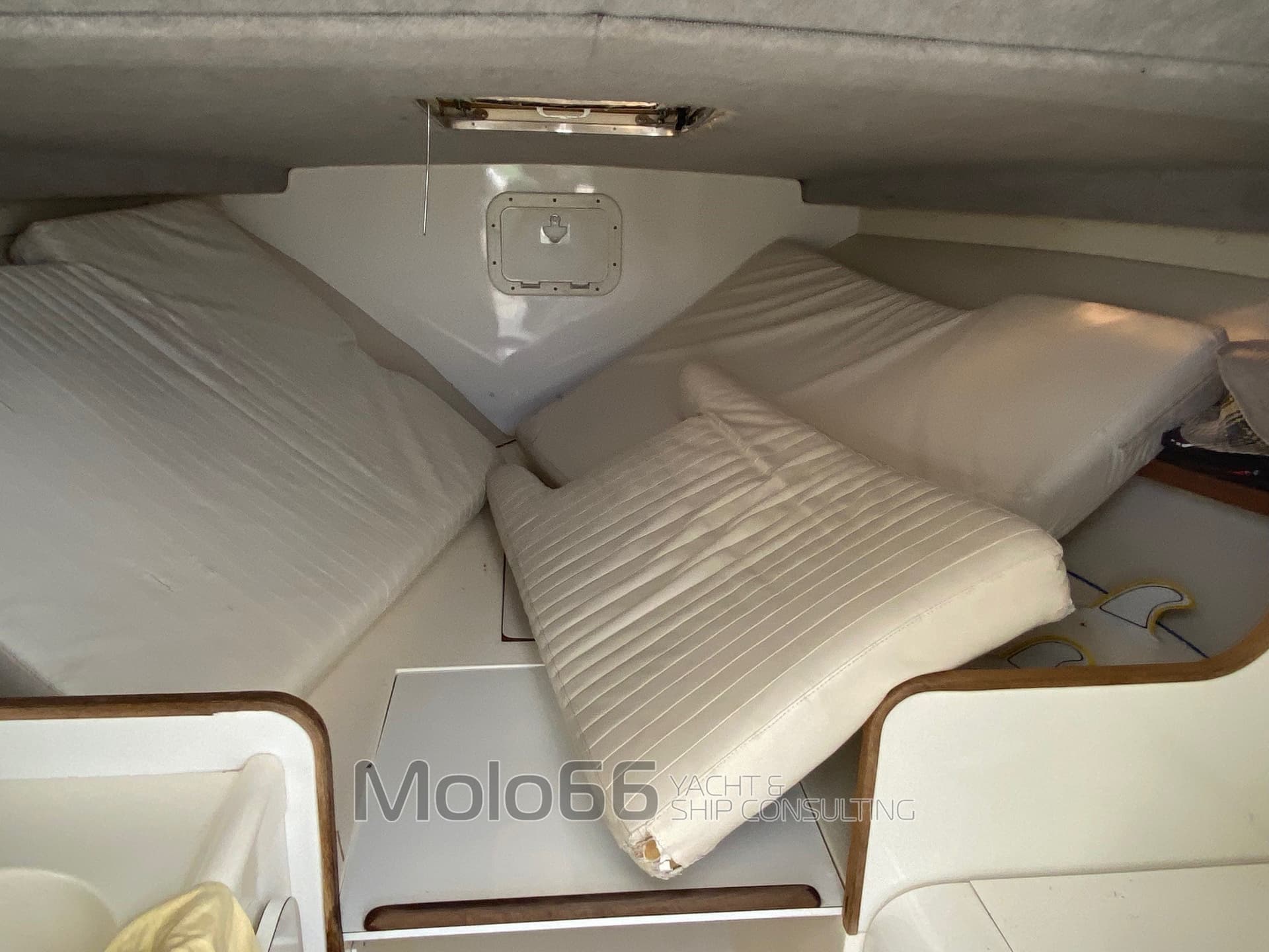 Bertram Yacht 28' Moppie usato - dettaglio 3