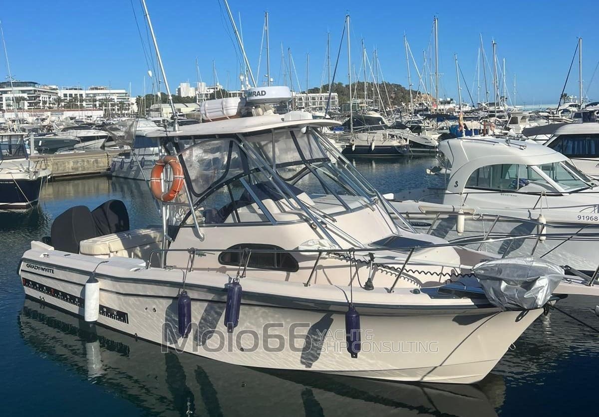 Grady White Boats 282 Sailfish Wa usato - dettaglio 2