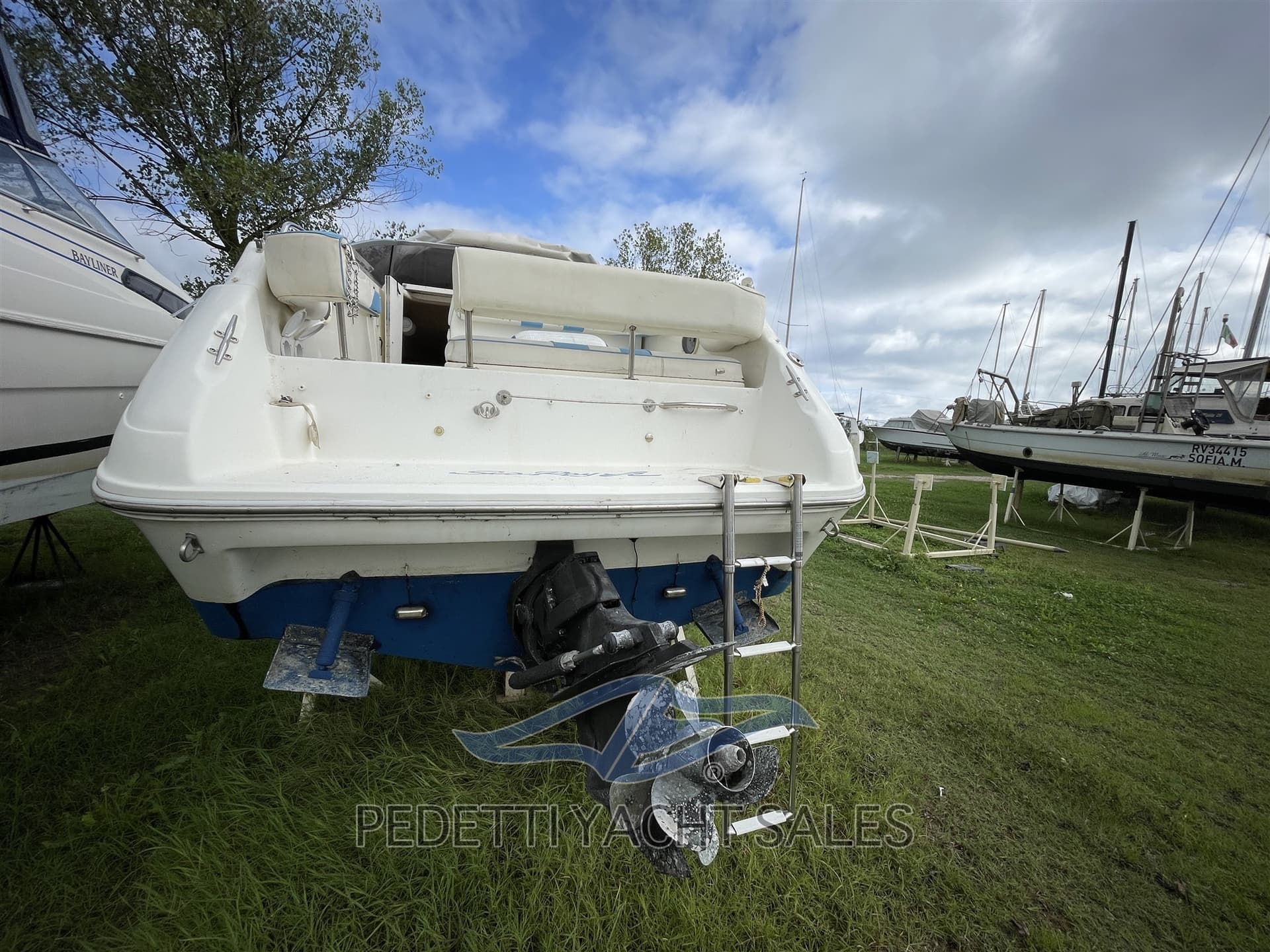 Sea Ray 230 Da gebraucht - Detail 3