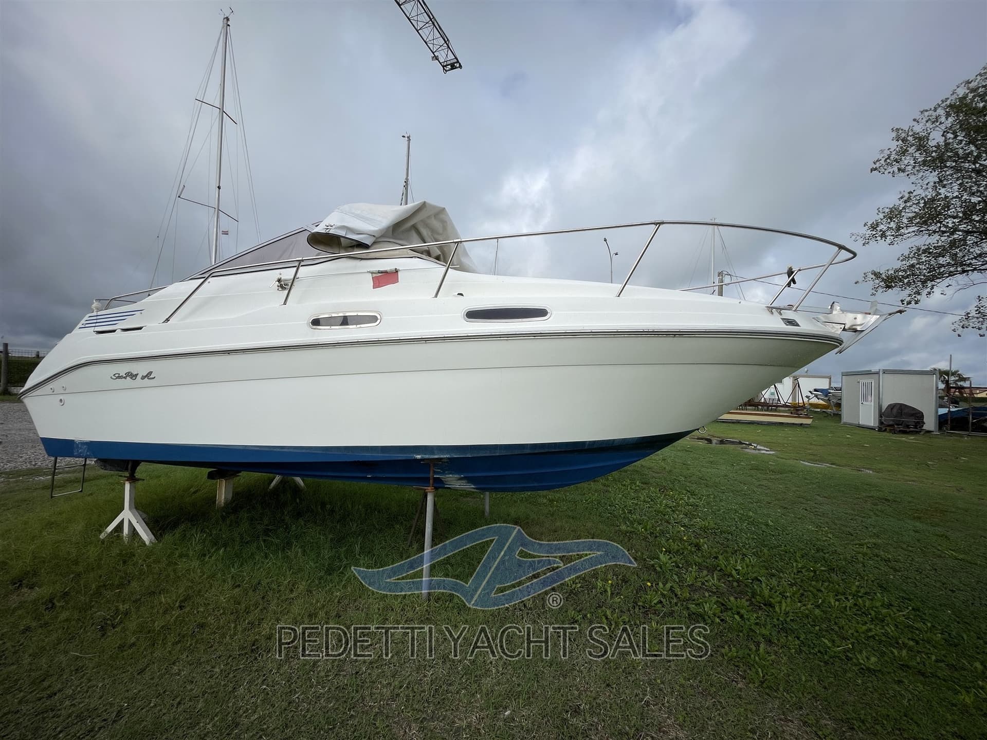 Sea Ray 230 Da gebraucht - Detail 1