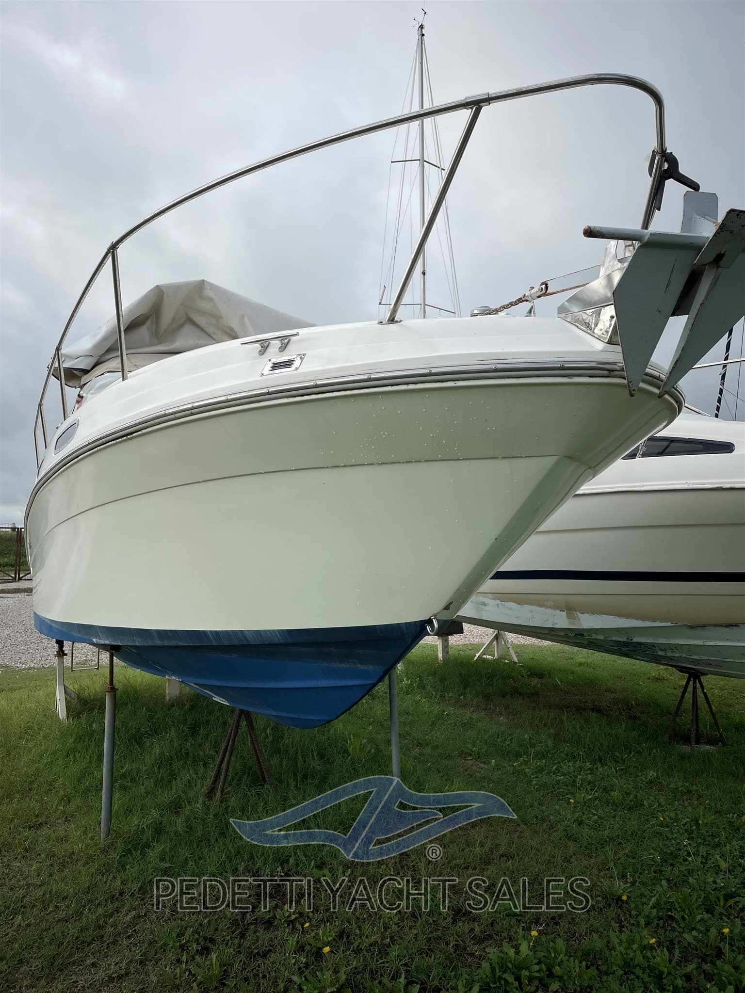 Sea Ray 230 Da gebraucht - Detail 2