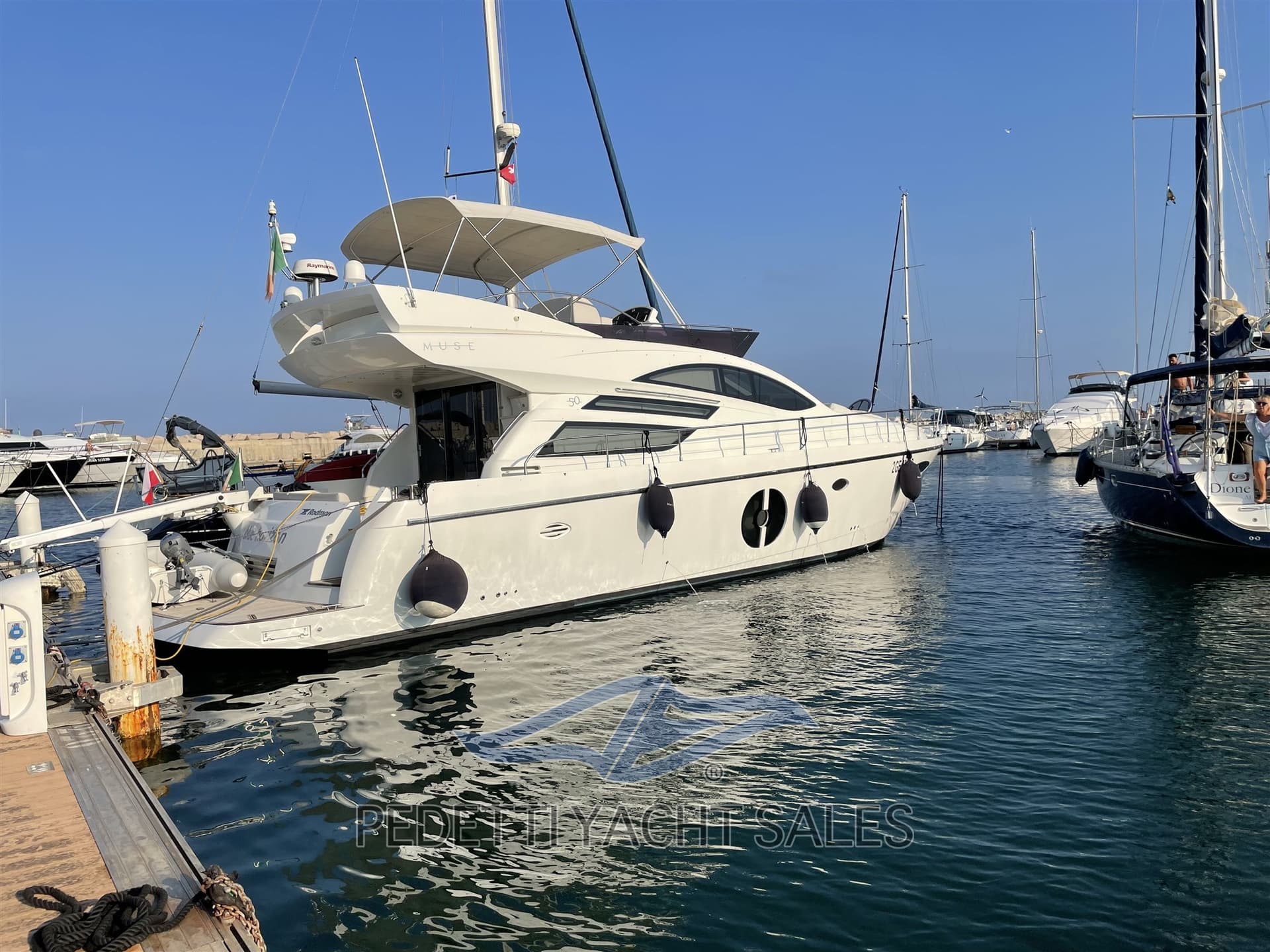 Rodman Muse 50 usato - dettaglio 3