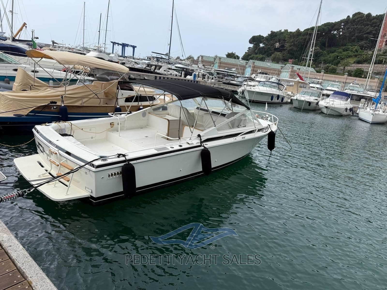 Bertram Yacht 28' Moppie usato - foto hero 2